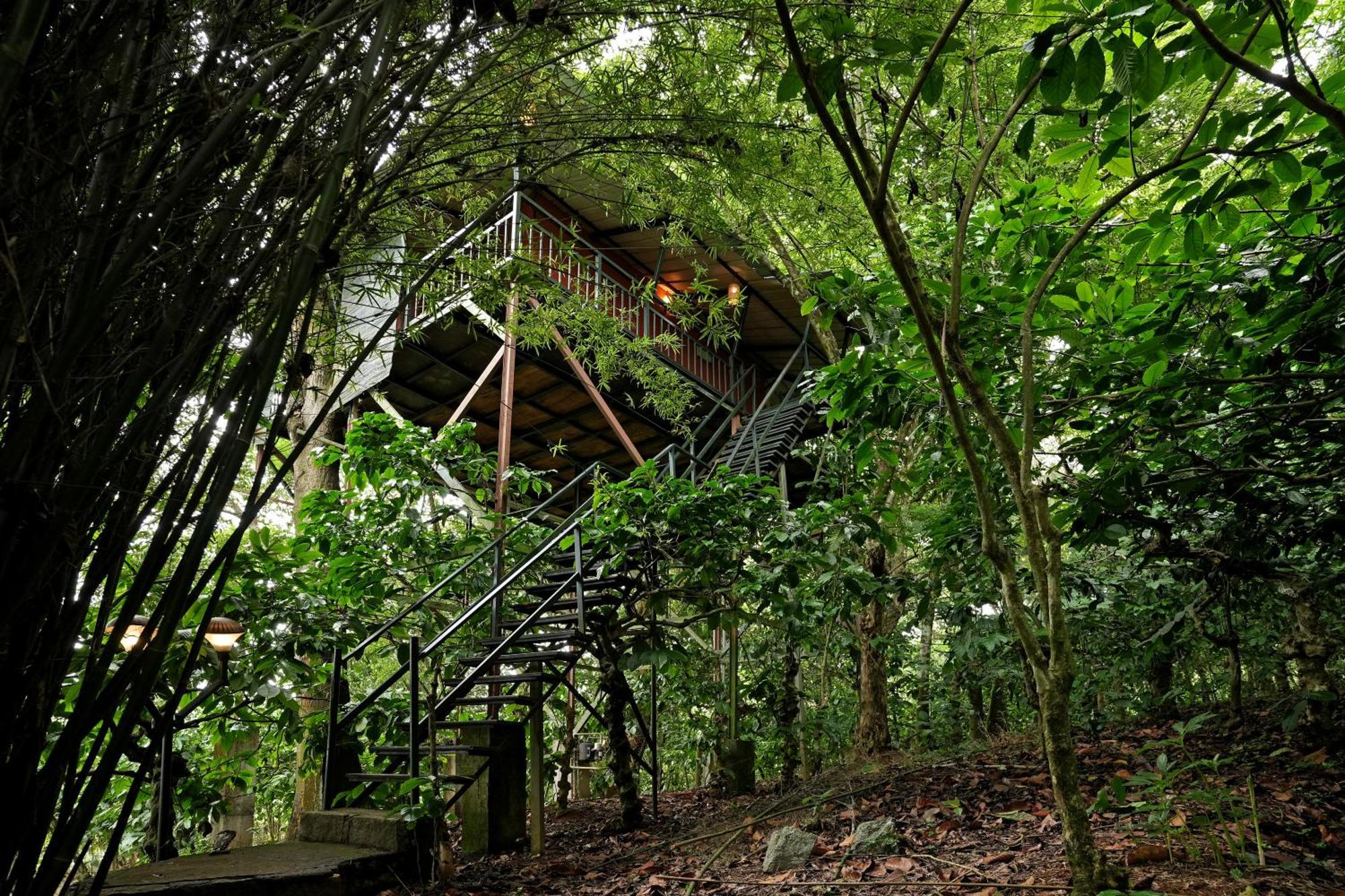Coffee Acres Resort Kalpetta Bagian luar foto